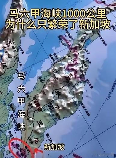 新加坡《联合早报》曾经在文章中指出：过去10年里，中国先是称“太平洋足够大，容得