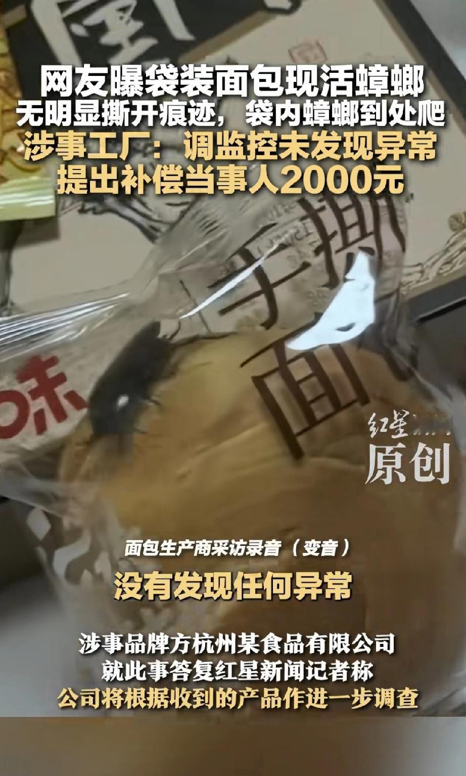 密封包装的手撕面包里有一只活蟑螂[捂脸哭]。刚看到某草味的面包里居然有一只活的蟑