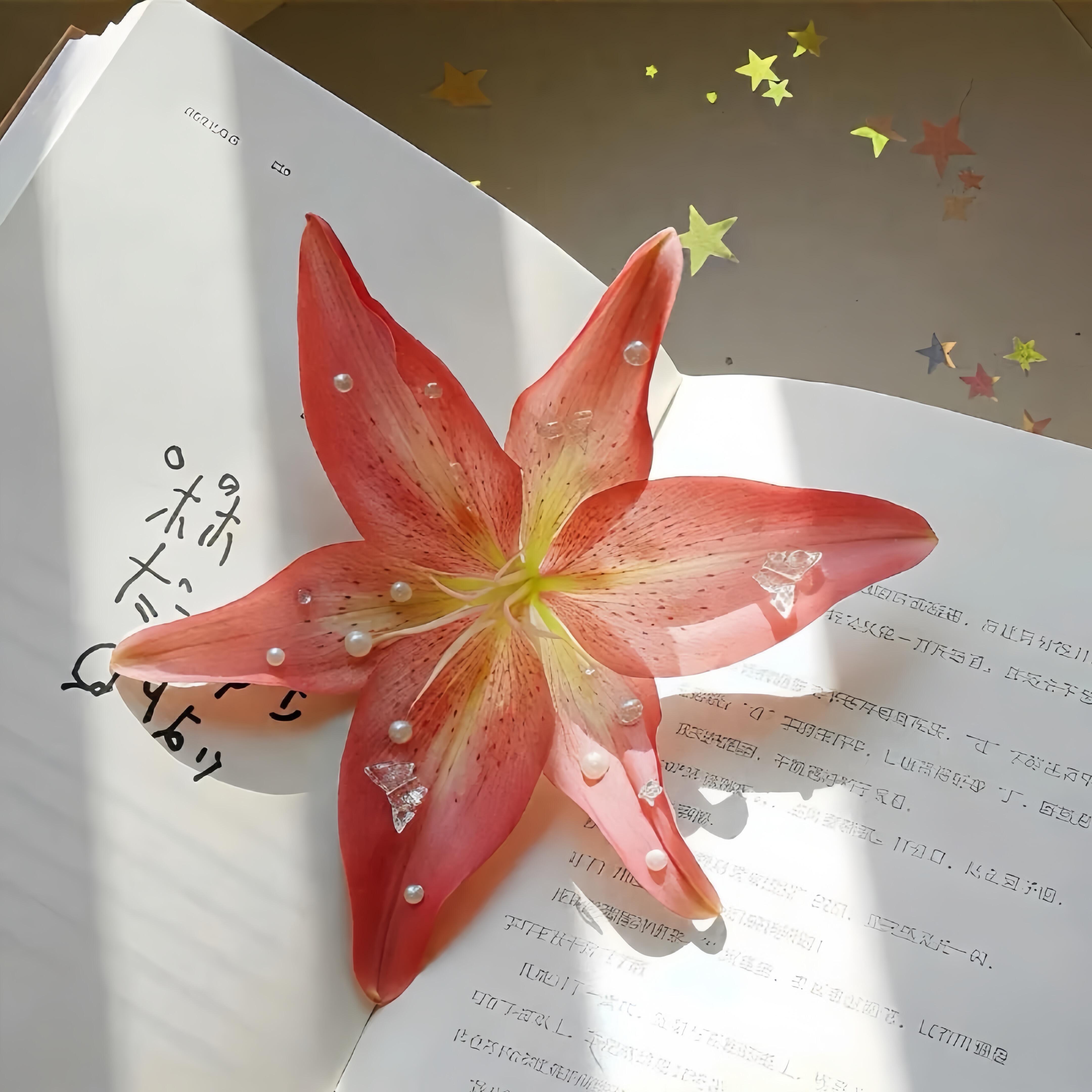 𝙗𝙖𝙘𝙠𝙜𝙧𝙤𝙪𝙣𝙙背景图｜氛围感背景图