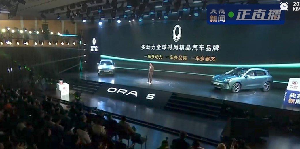 欧拉不再是纯电品牌了，变成了包括燃油、混动和纯电在内的多动力品牌。另外长城推出新