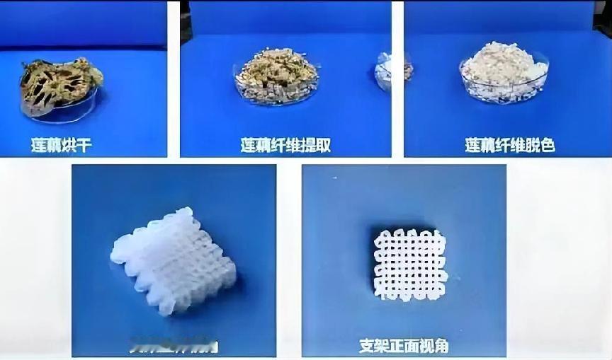 万万没想到，科学的尽头真的开始往神话上靠了。看过《哪吒之魔童降世》的都记得，太