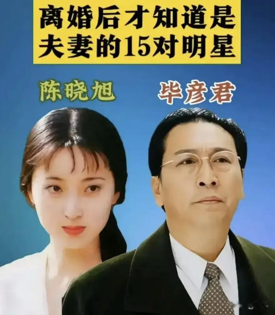 吕良伟和周海媚——曾经是两口子万绮雯和甄子丹——曾经是两口子梅婷和鄢颇...