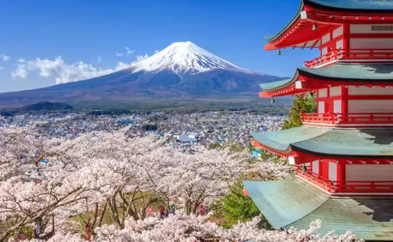 这个朋友说的，全是真话。中国游客不去了，日本是真的扛不住了。01数据不