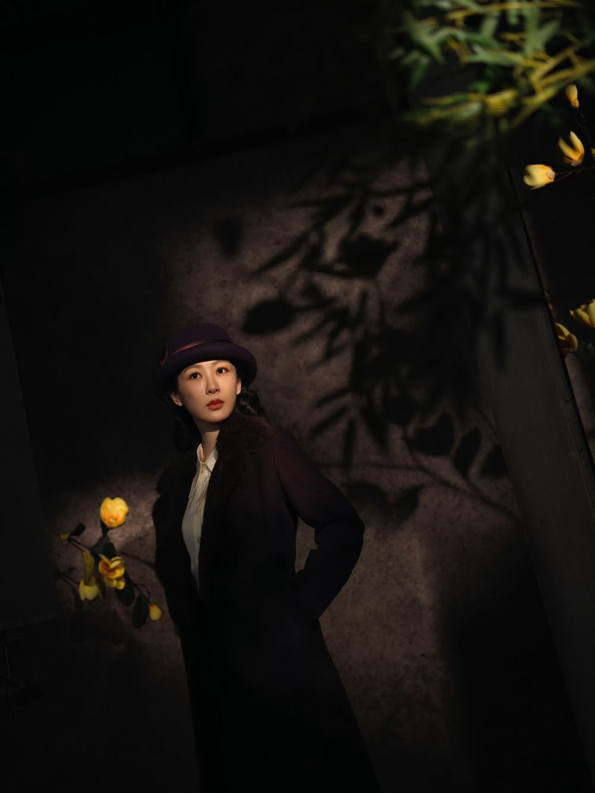 玉兰花开君再来这就是演员的塑造力吗！脑子里已经全是画面了谁懂啊，董竹君太有魅力了