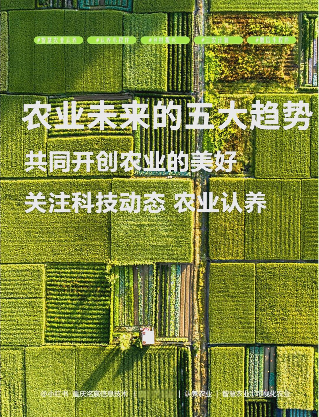 这是一个看似简单，却极其深刻的问题。很多人一提到农村，脑海中浮现的往往是“落后”