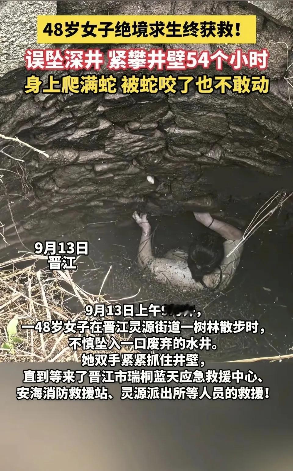 “妈！妈你在哪儿？”晋江灵源街道的树林里，李先生攥着手机的手直发抖。手机屏幕上是