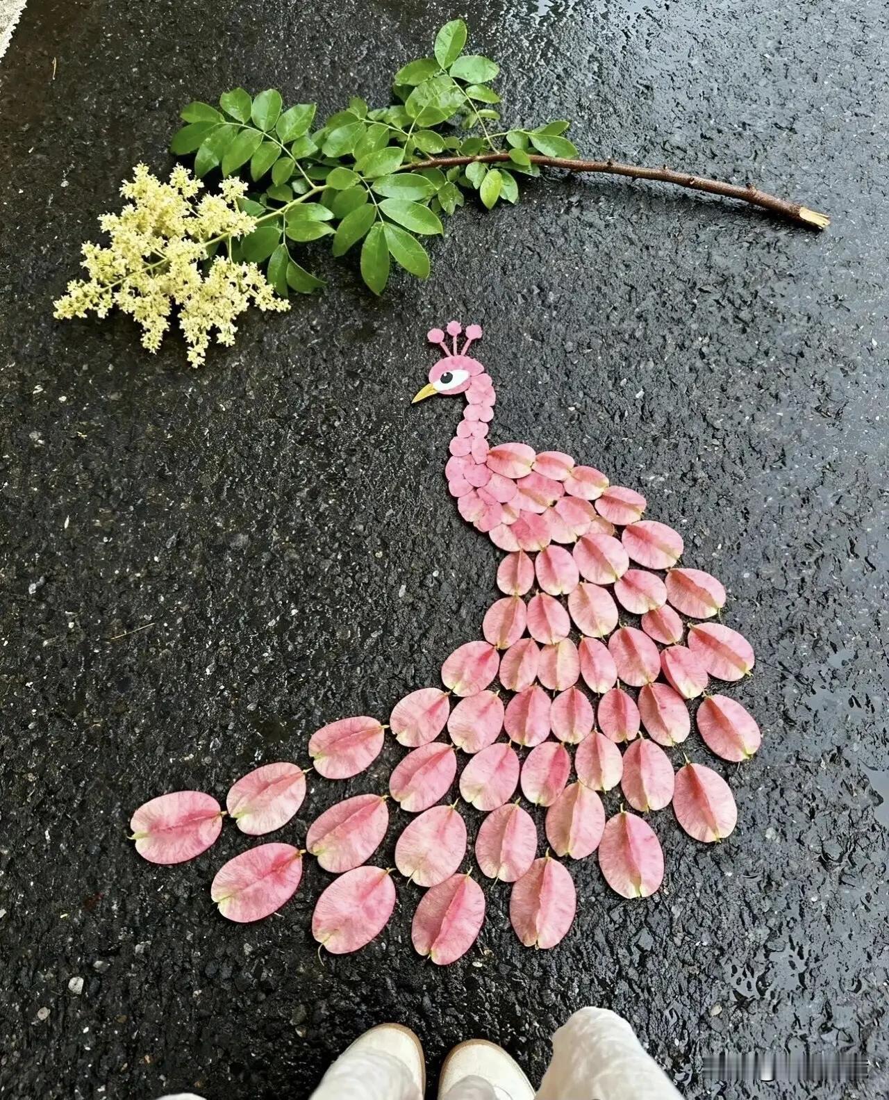 [烟花]这大自然的馈赠，在雨后化作了治愈的精灵🧝‍♂️🧝‍♂️🧝‍♂️自然