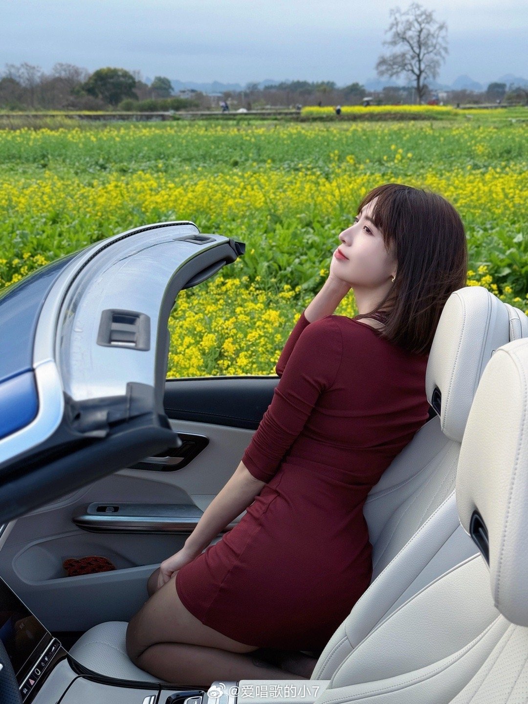 油菜花都开了怎么还没等到你约我的信息