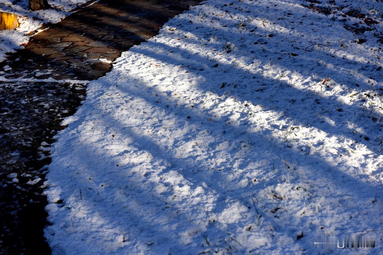 南湖公园四季掠影（十）冬季景色：