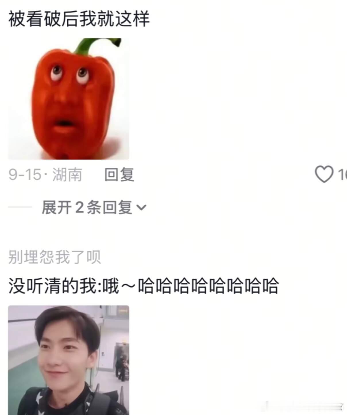 一般第二遍我就会装听清了