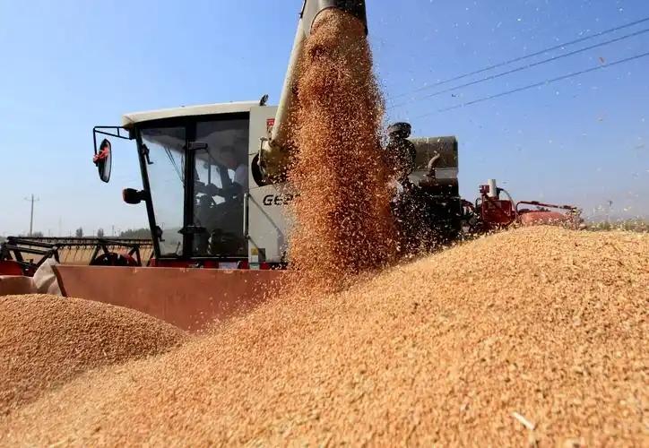 要是全世界都不供粮了，中国能自己养活自己吗？就这么说吧，中国一断粮，全球至少10