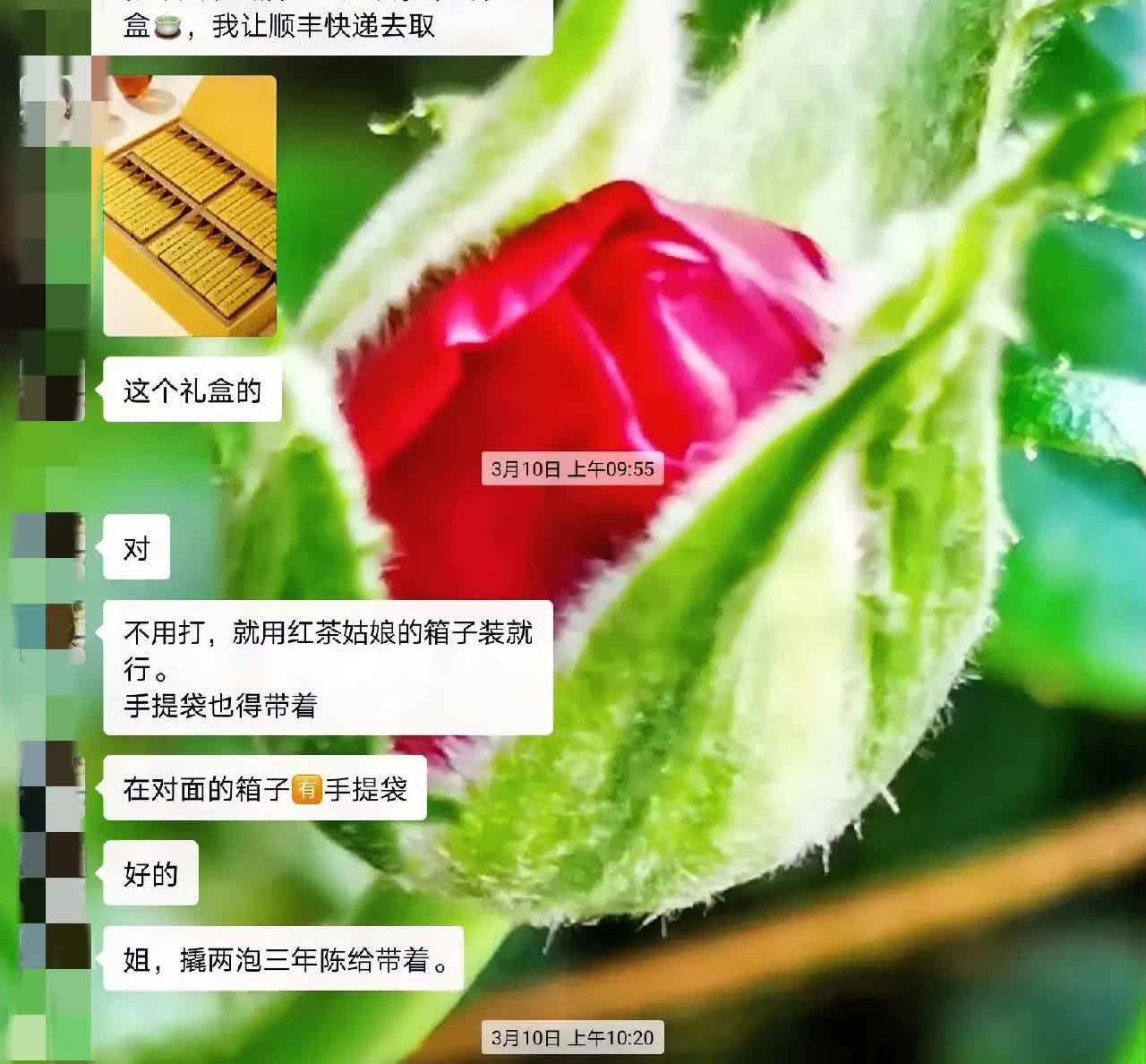 我的好朋友，她走了。这是她刚刚生病时留给我的最后的几句话！她病了，居然不跟我说实