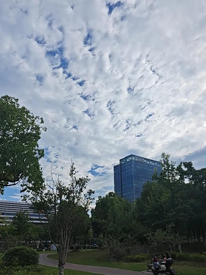 50岁后忠告：越刻意养生，身体垮得越快！90%老人都养错了说句没人敢说实话