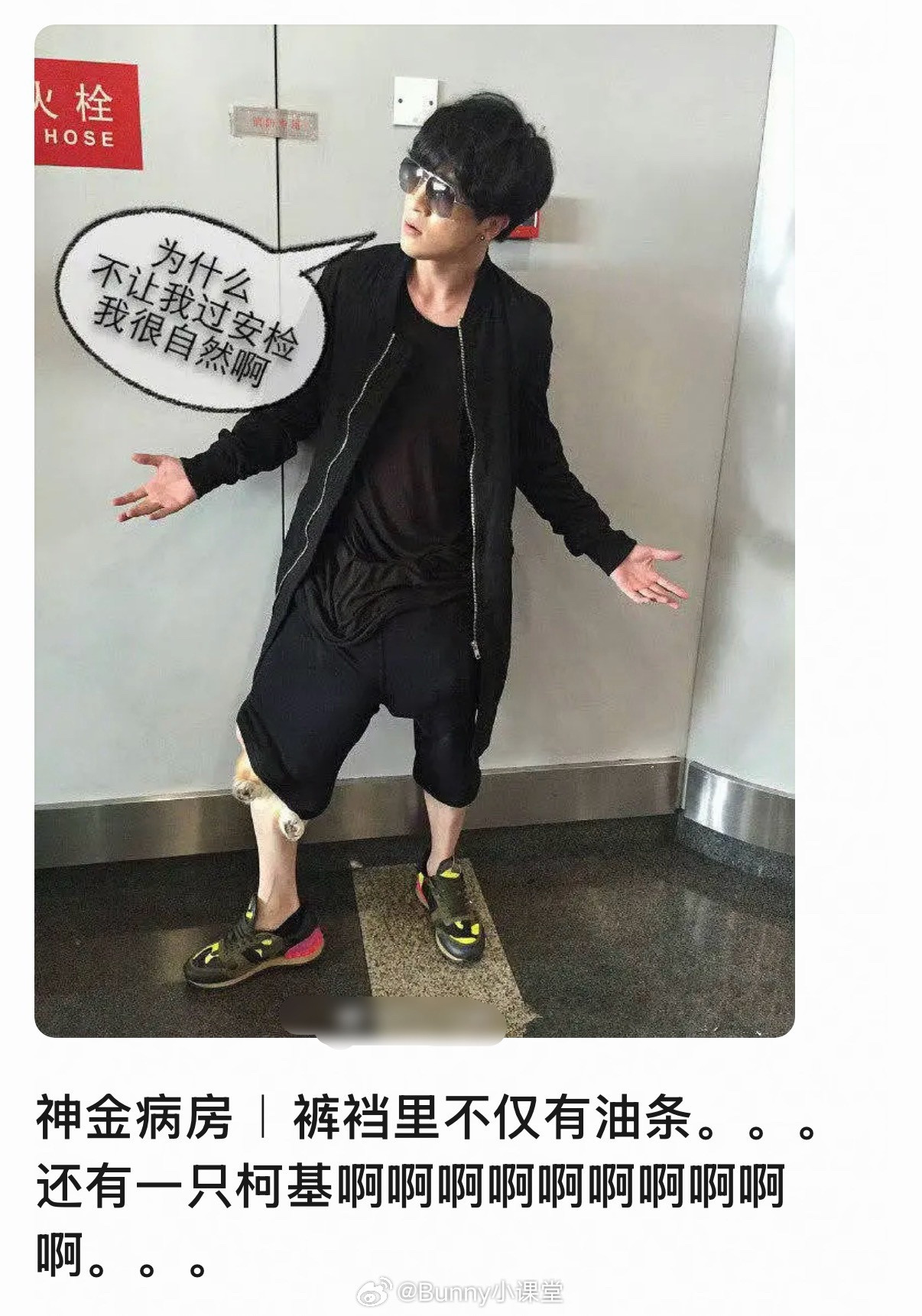 薛之谦为什么要这么对待柯基，狗狗做错了什么……