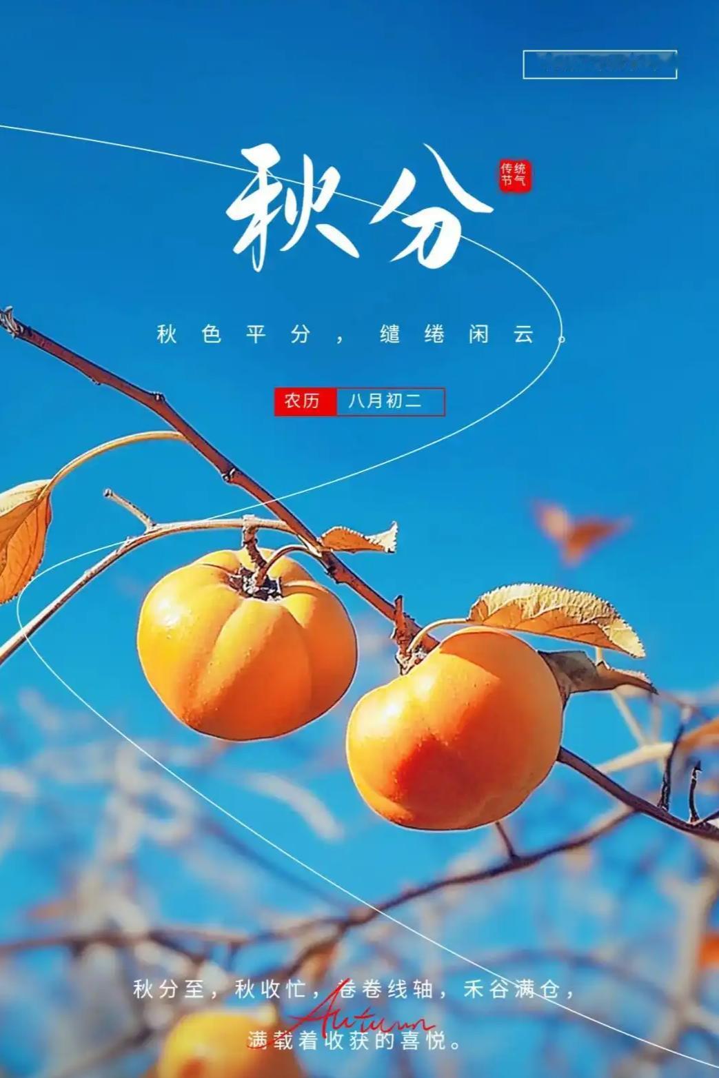秋分雨落寒意浓，老话预言寒冬至，今冬究竟冷几分？今天是九月二十三，秋分到了，