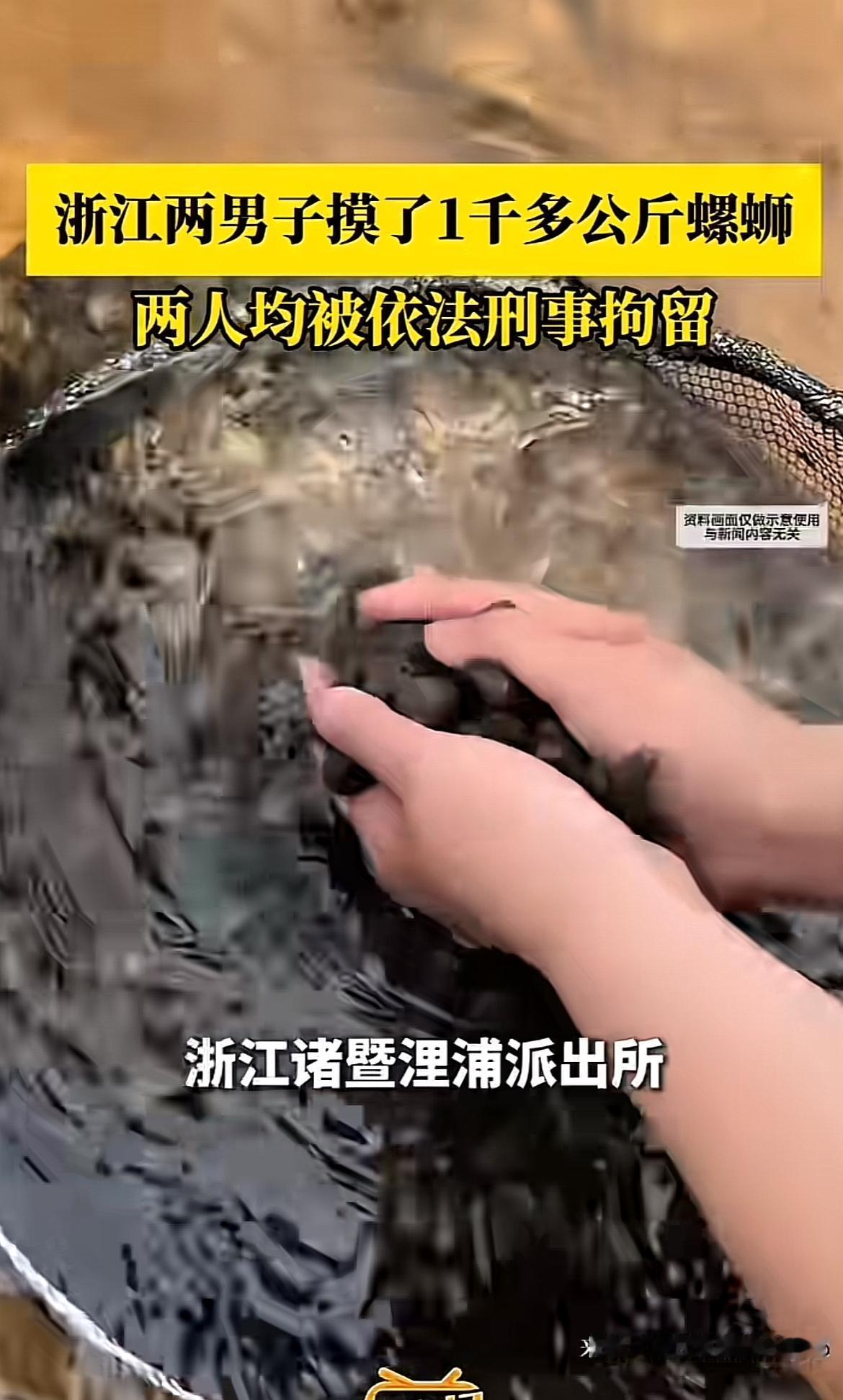 真是离谱他妈给离谱开门，离谱到家了！浙江诸暨俩男子深夜跑到浦阳江，一晚上就摸了1