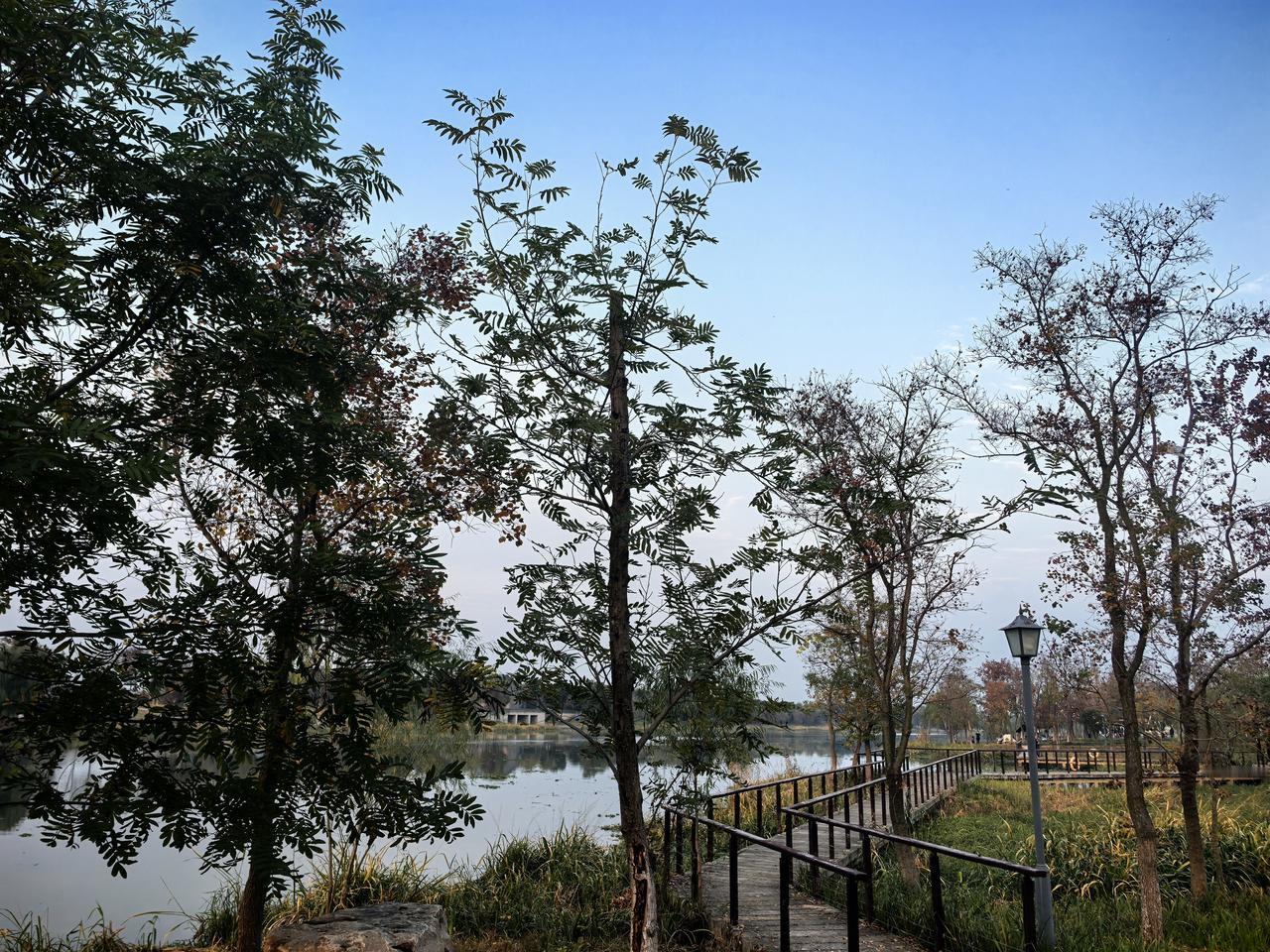 这哪里还是婚姻，分明是场单方面的围剿。男人借钱养第三者，回头却把妻子当仇人骂，