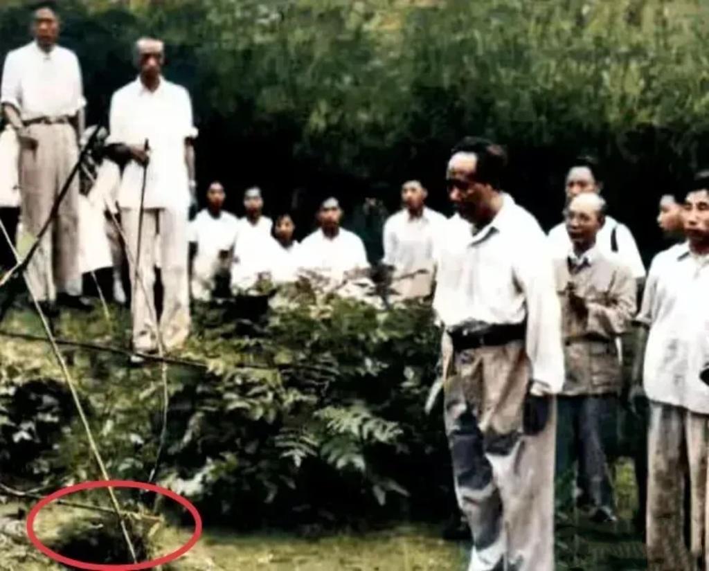 毛主席去给父母上坟，手里仅有一把松枝，他一个人朝着楠竹山坡走去1959年6月