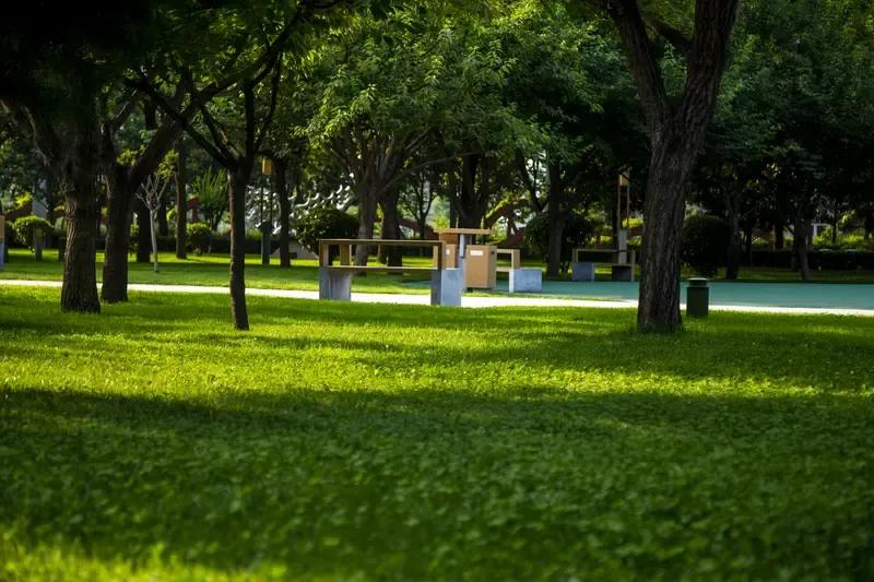 已退居二线歇岗回家的老校长今天来学校了，他可是退居二线后一直没来学校了。也不知道