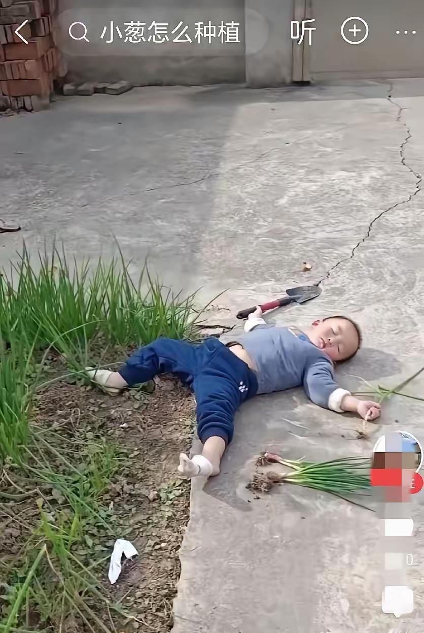 奶奶做饭要拨水葱，孙子自告奋勇替奶奶去挖，饭都做熟了不见孙子回来，寻到菜园子旁看