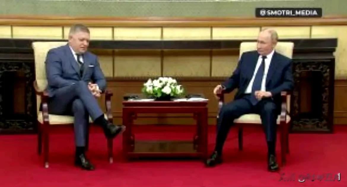 菲佐在中国会见了普京菲佐声称，乌克兰“不能”成为北约成员，但其加入欧盟，斯洛伐