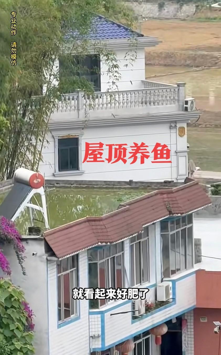 回农村建房，朋友们谁懂啊[捂脸哭][捂脸哭]这样的平屋顶蓄水养鱼，不怕房子漏水吗