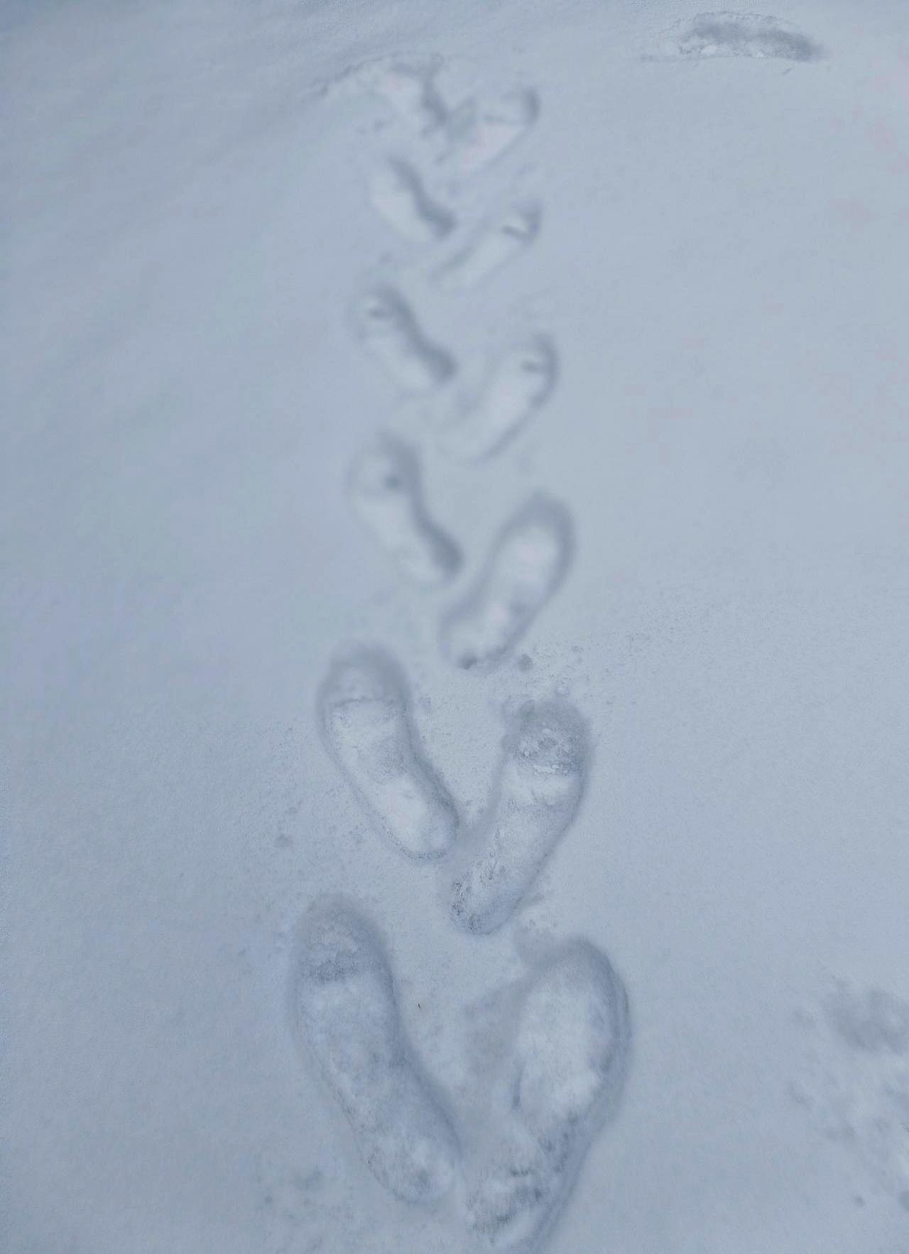 今天，一些抱怨南京扫雪行动有些慢，觉得是应对计划准备不足，造成早晨，马路上有积雪
