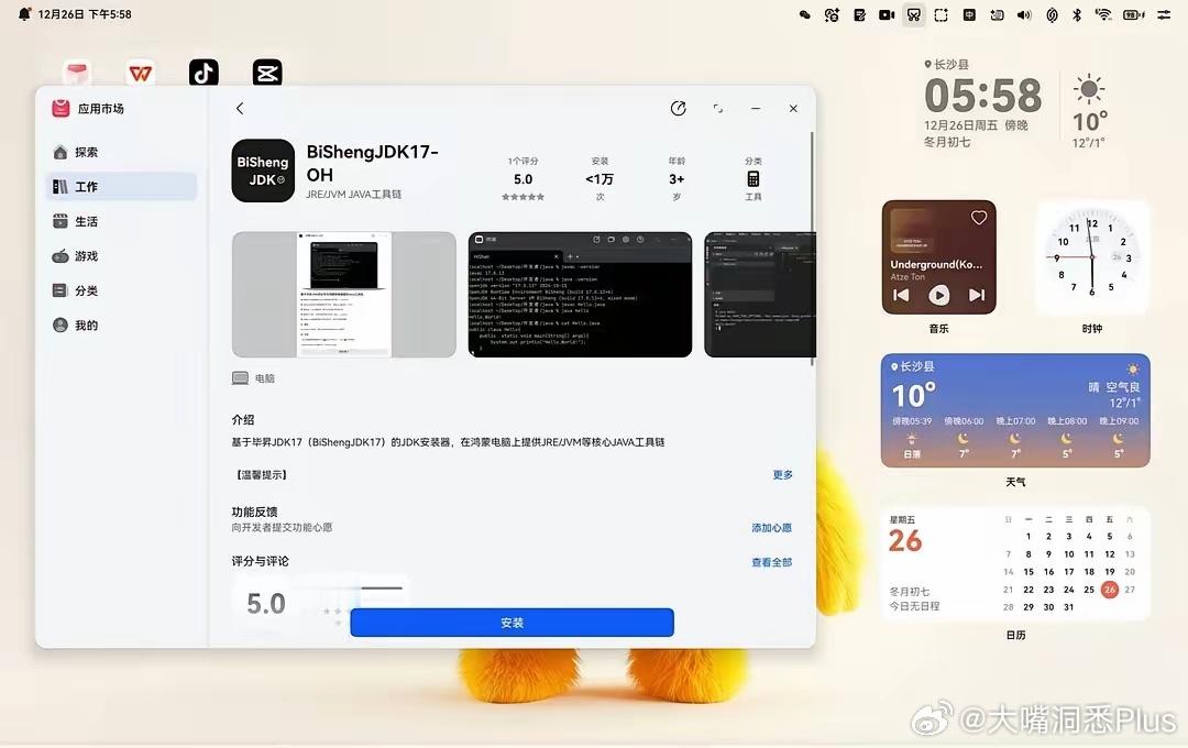 鸿蒙PC上架了jdk应用，这说明JDK已经适配华为芯片，华为PC系统了，今后Ja