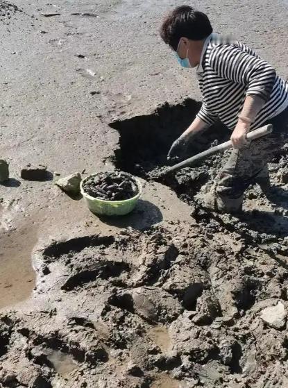 一堆淤泥居然卖出了8.4亿元？这又是什么新玩法？ 11月7日这次拍卖的标的是