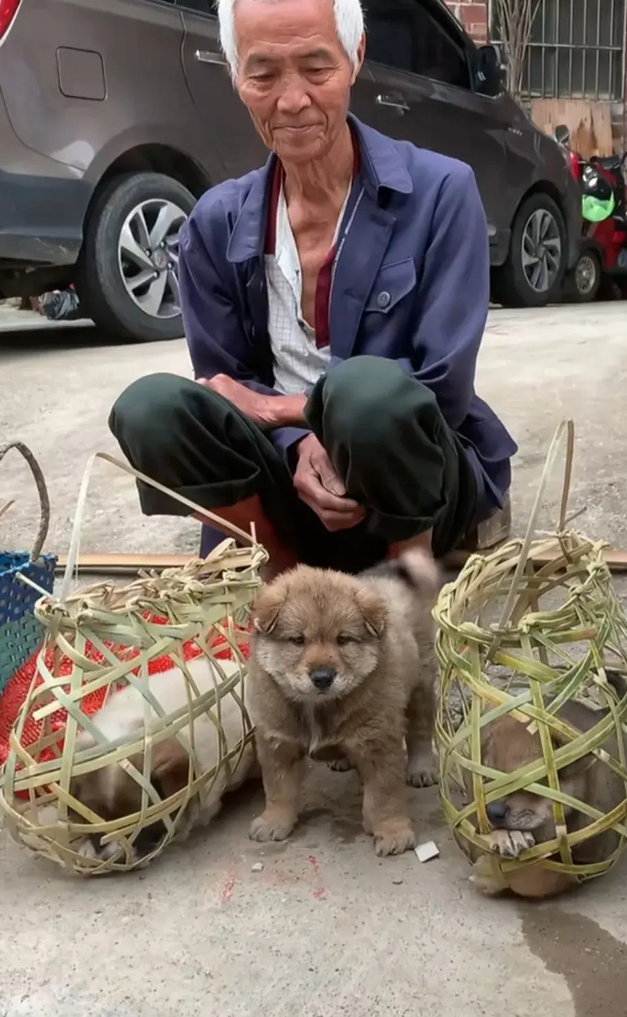 白发老爷爷沿街售卖幼犬，为每只小狗精心编织了竹笼！