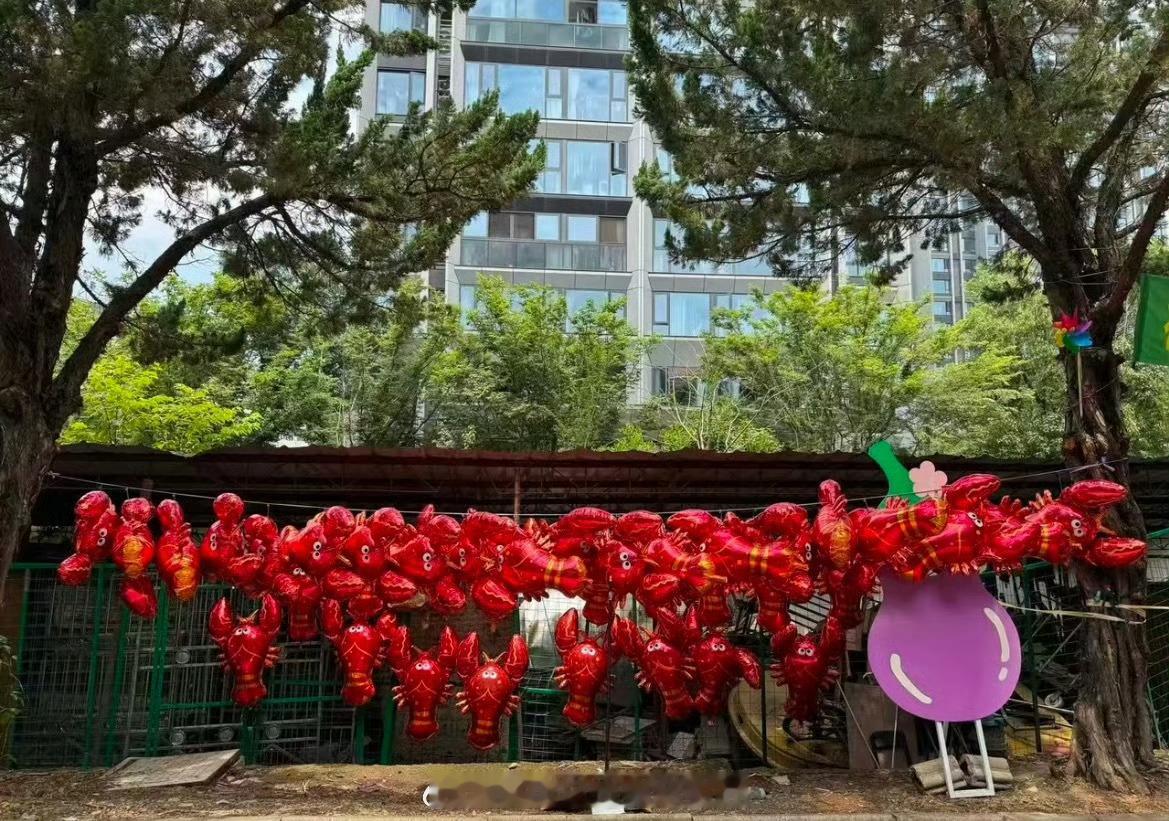 丁禹兮向粉丝借了龙虾气球原来丁禹兮《南部档案》直播里背景布置的龙虾是特意向粉丝借