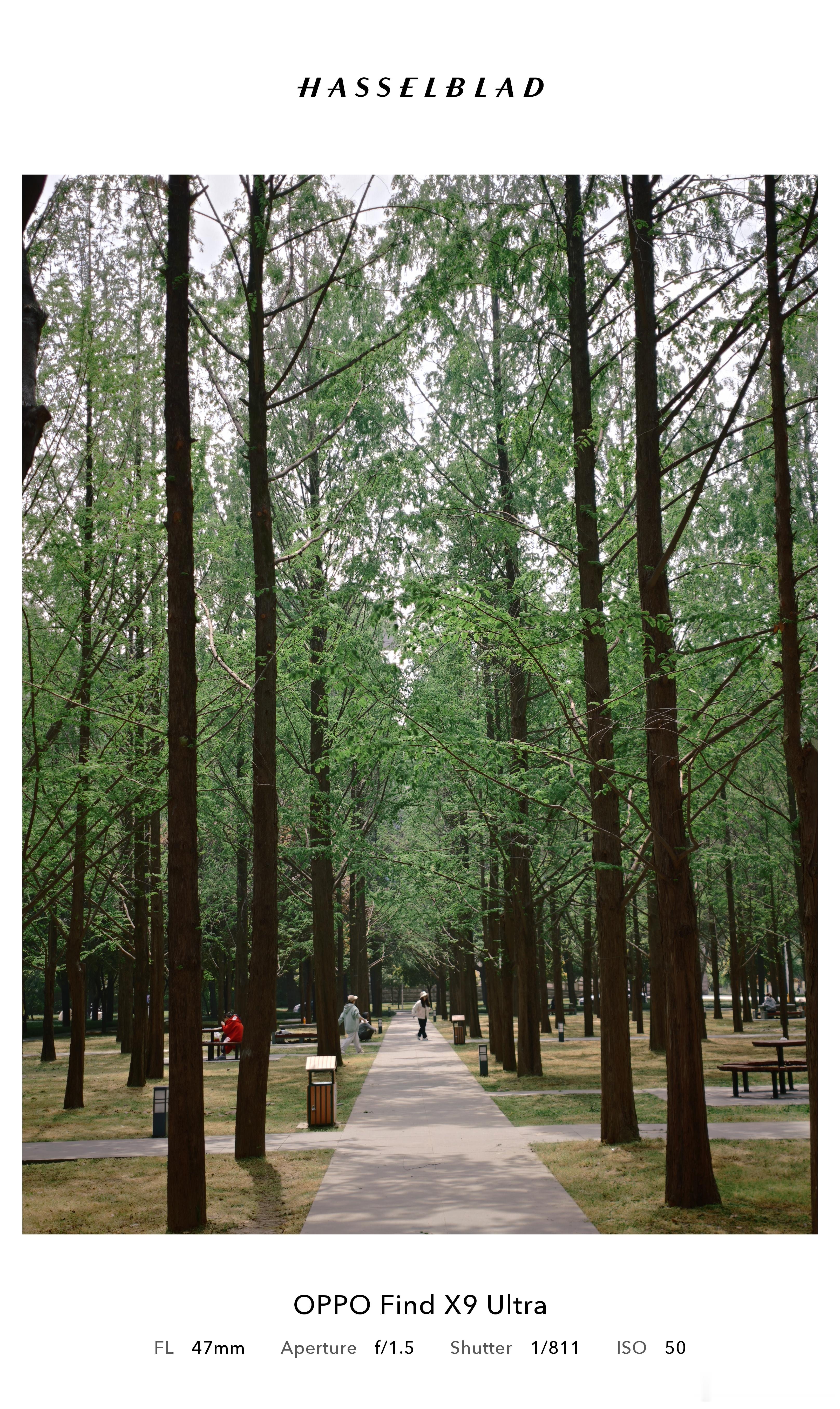 带大家感受一下OPPOFindX9Ultra随手拍能力哈苏大师胶片太好用了