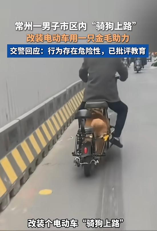 “还得是大爷！”3月16日，江苏常州，一大爷脑洞大开改装电动车，将电瓶位置挖空，