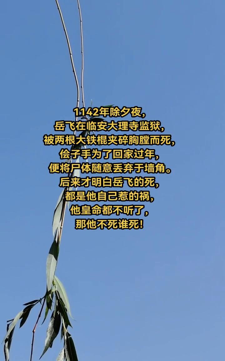 1142年除夕夜，岳飞在临安大理寺监狱被两根大铁棍夹碎胸膛而死。侩子手为了回家过