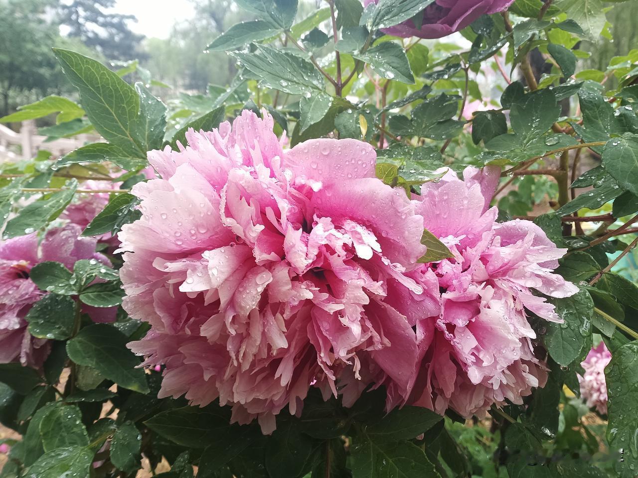 控糖数年前，一次体检，发现空腹血糖6.3，超出正常范围。当时医生说没有事，不影