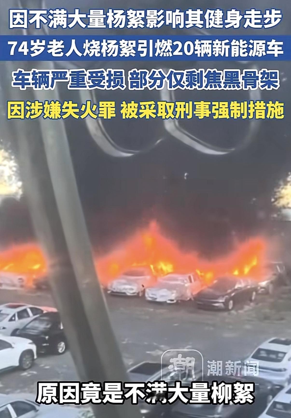 这回篓子捅的有点大了…大连那边，有个70多岁的老人因不满柳絮太多，影响锻炼，