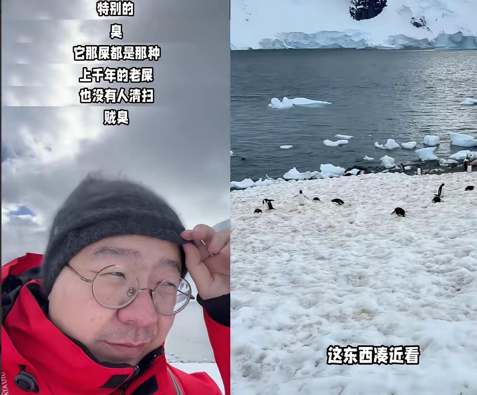 好像有点整明白了，为啥李诞一去南极，网友全“祛魅”了——不是南极不美，是