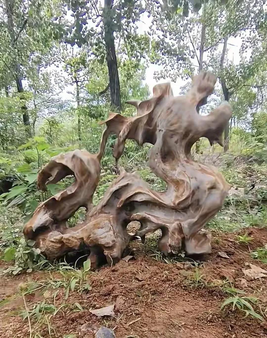 这是一块灵壁石，属于自然形成的，未发现任何雕琢的痕迹。从形态上看，像一条昂首咆