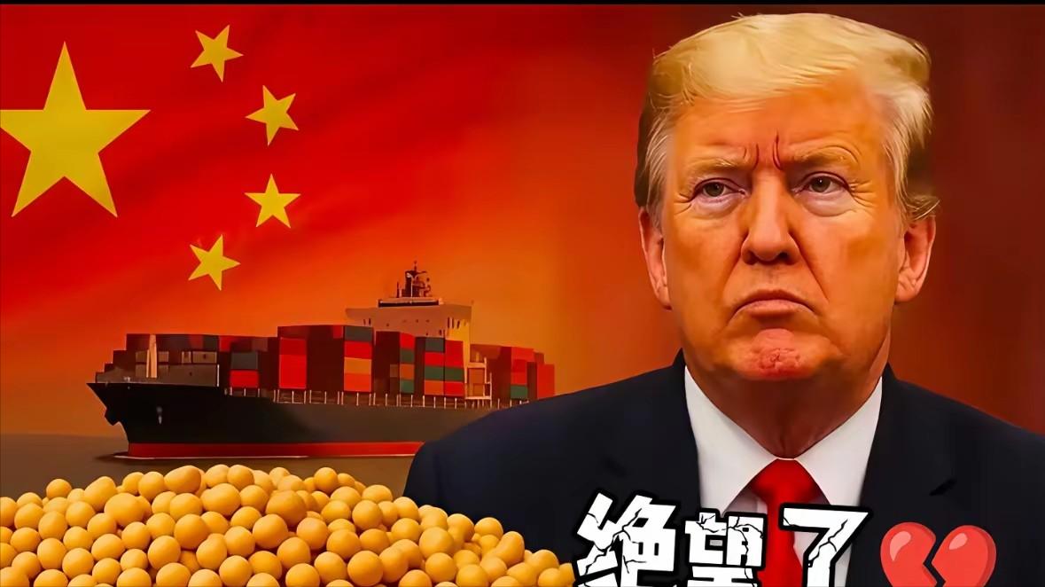对于滞销的大豆,美国终于有行动了! 美国总统下令,给豆农拨款30亿美元补偿损
