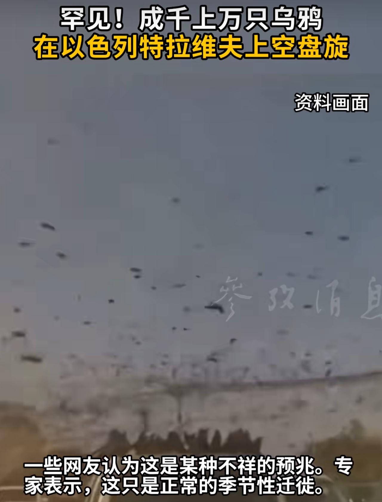 以色列遭天谴了？近日，在以色列特拉维夫上空，除了导弹，还有成群结队的乌鸦在盘旋。