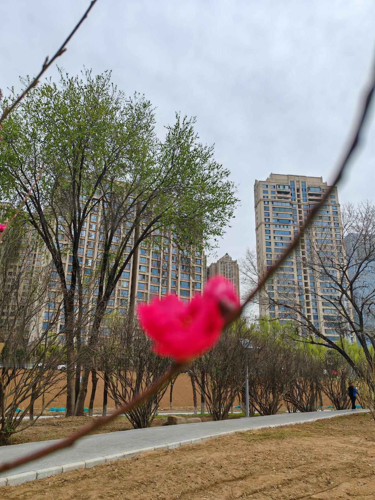 最近天气不好，外面已经黑了。病房的楼道里面也已经安静了下来，我们的病房也已经
