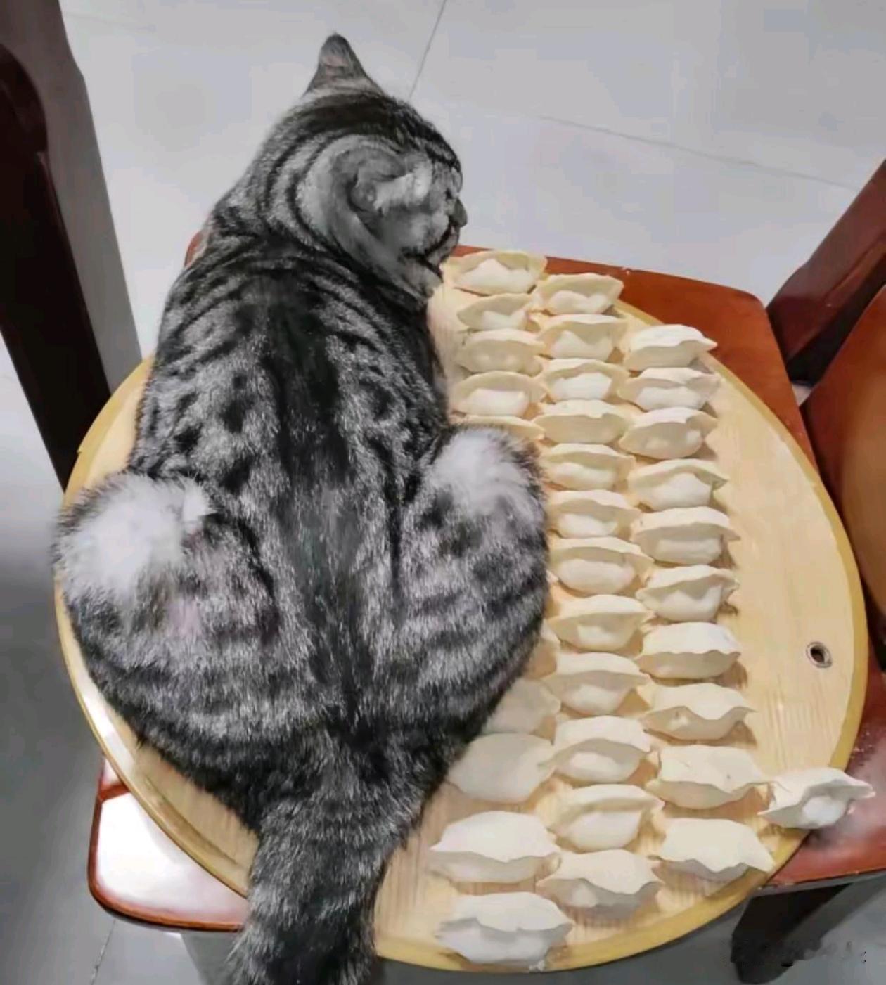 包完饺子一转身他上去了