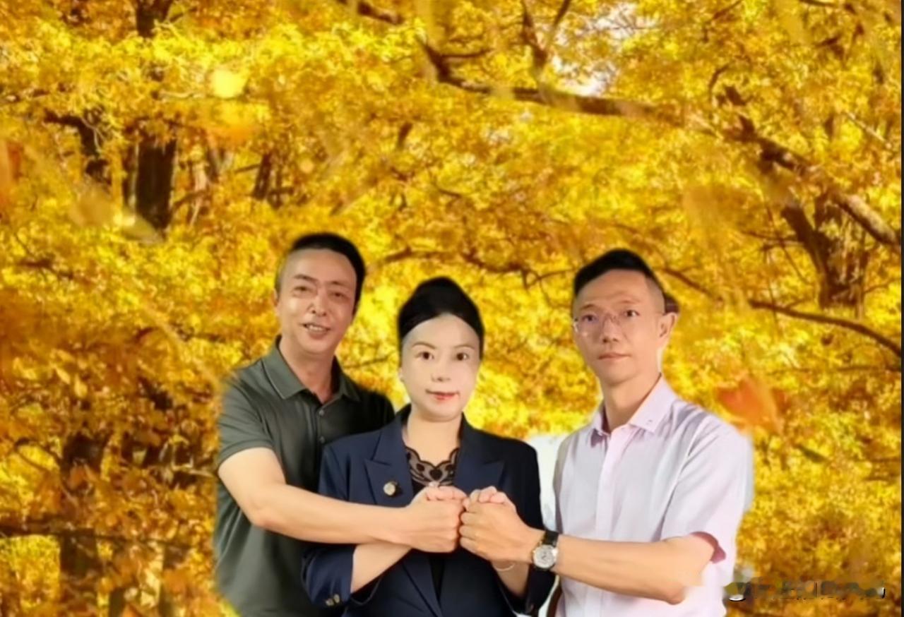 最近，稍微有点影响力的人联手出来洗白了。原本定好的52W会议紧急叫停，之后就没