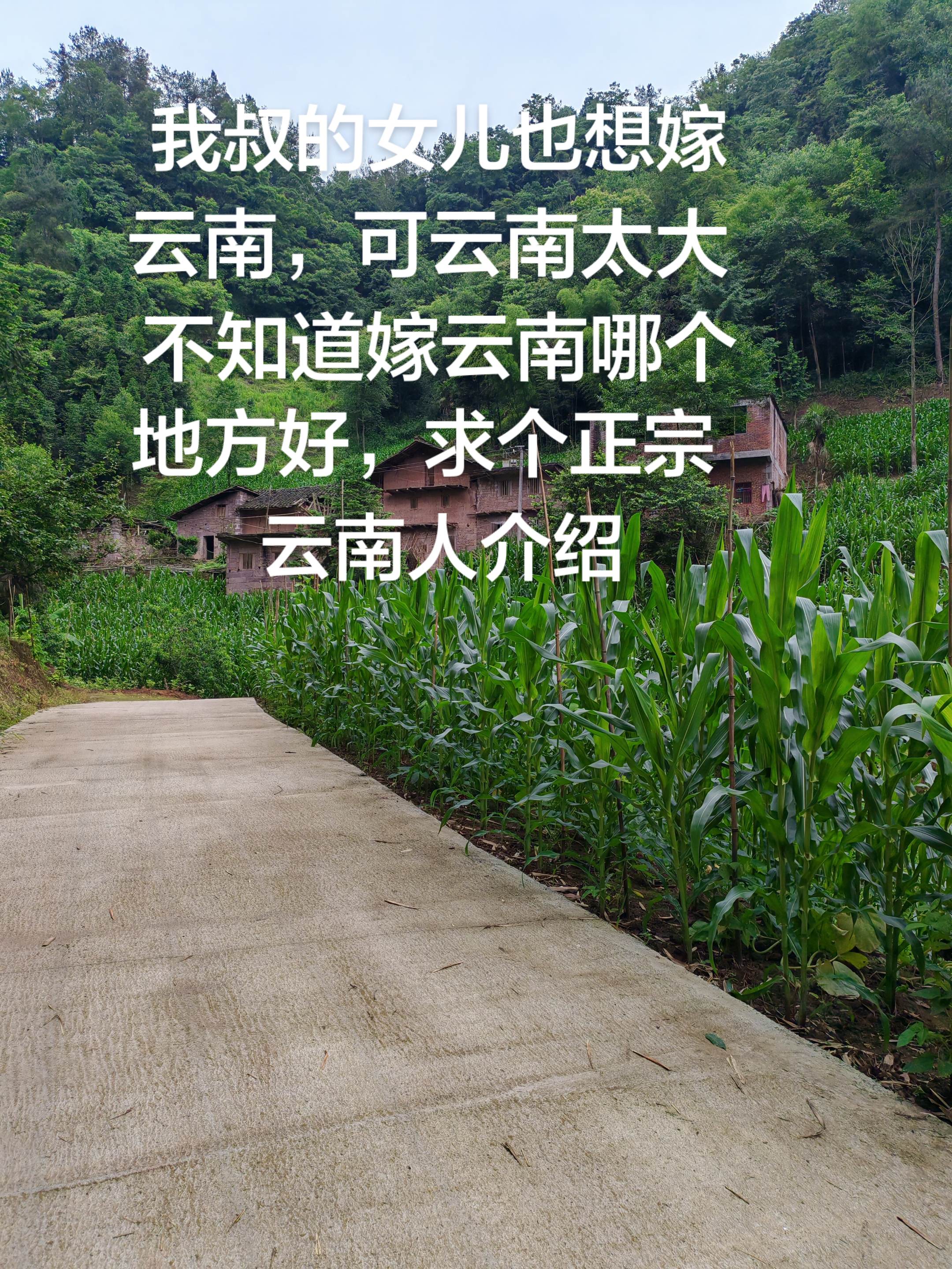 我叔的女儿真心想嫁云南，可云南太大不知道嫁云南哪个地方好，求个正宗云南人介绍