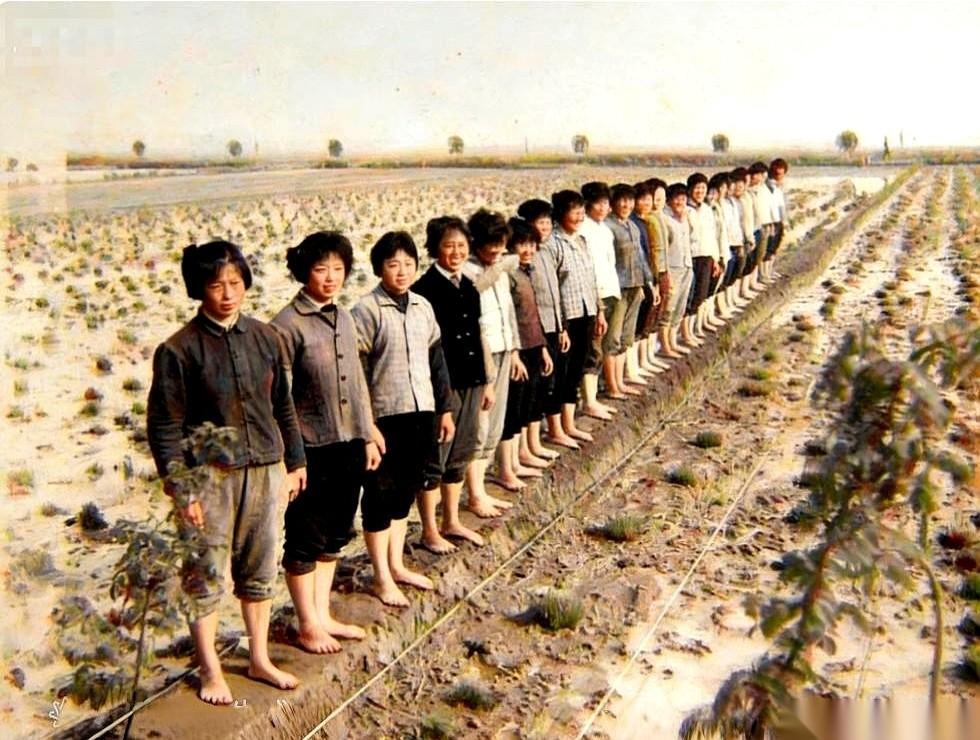 聊起那个年代，有一件事，光是听着，脚底板都跟着抽筋。早春三月，田里的水还没化透