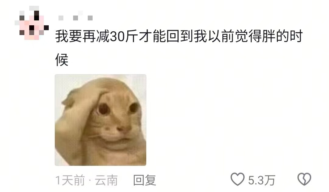 减肥就是越减越肥当初觉得自己胖，其实现在更胖