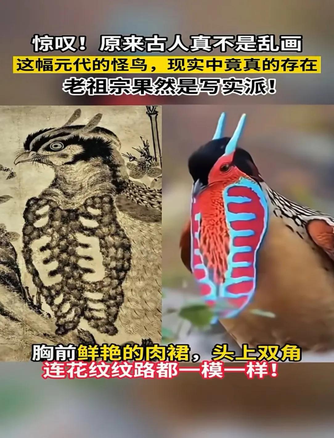 原来老祖宗也有写实派的绘画，不要以为中国画都是写意山水！