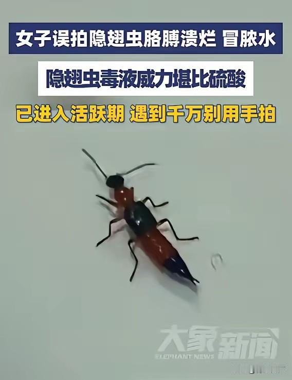 “悲剧还是发生了！”5月29日报道，浙江义乌，一女子见窗边有小虫，随手就给拍死了