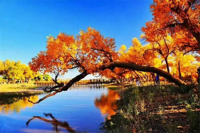 额济纳，一定是上帝打翻了调色盘，才会变得如此惊艳！​​​