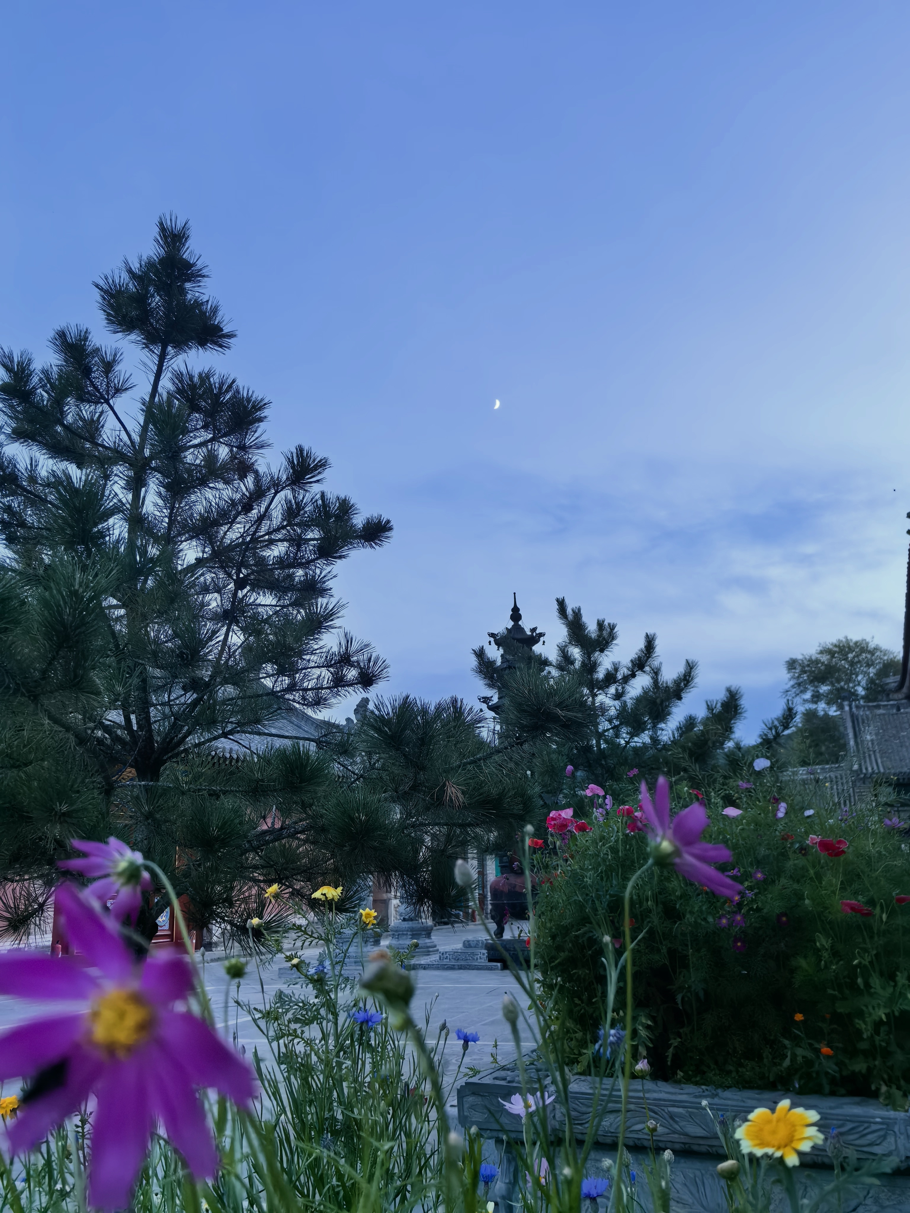 菩萨的慈悲是无条件的。清亦凉兮修行五台山印记清凉学堂
